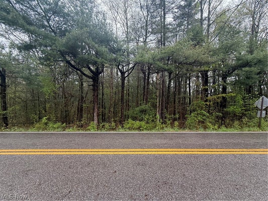 STEWART RD, LOWELLVILLE, OH 44436 - Image b24687cc201795ae1378f03c5e04434e/733197393
