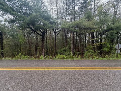 Vacant Land For Sale - Stewart Road<br/> Mahoning County, Poland, OH 44436
