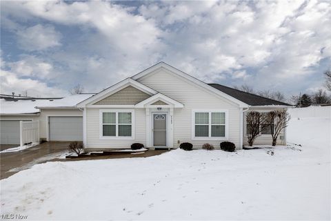 4584 Rocky Mountain Drive, Medina, OH 44256 - #: 5012471