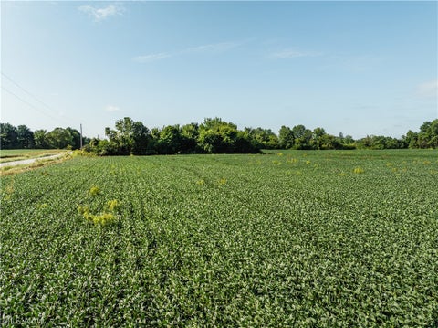 Vacant Land For Sale - Perry Road<br/> Centerburg, OH 43011