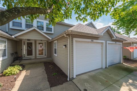 19383 Cyclone Drive, Cleveland, OH 44135 - #: 5146647