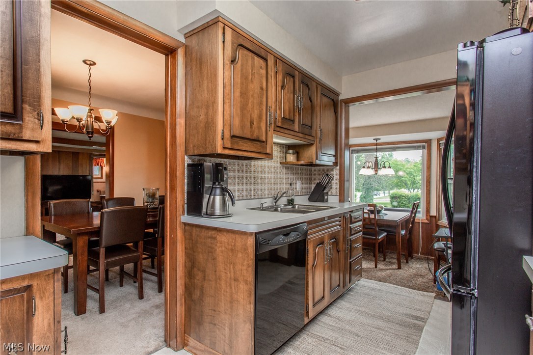 Filipowicz Allotment - Residential