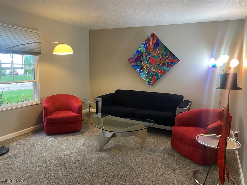 Franklyn Commons Condo - Residential