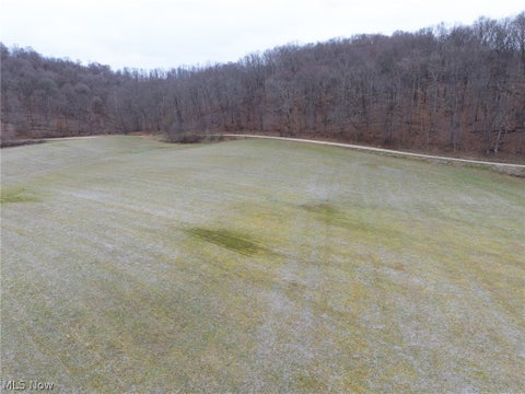 Vacant Land For Sale - Sarchets Run Road<br/> Cambridge, OH 43725