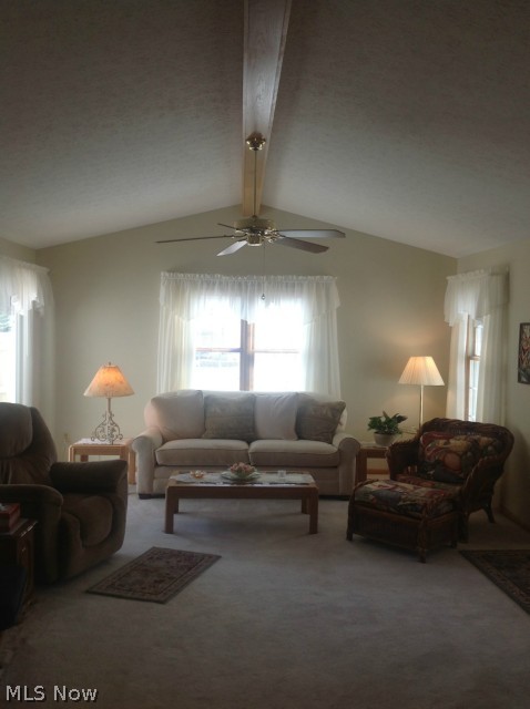 Pinehurst Clusters - Residential