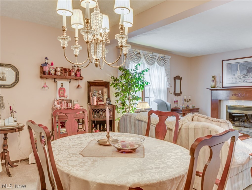 Shoreview Ridge Condo - Residential