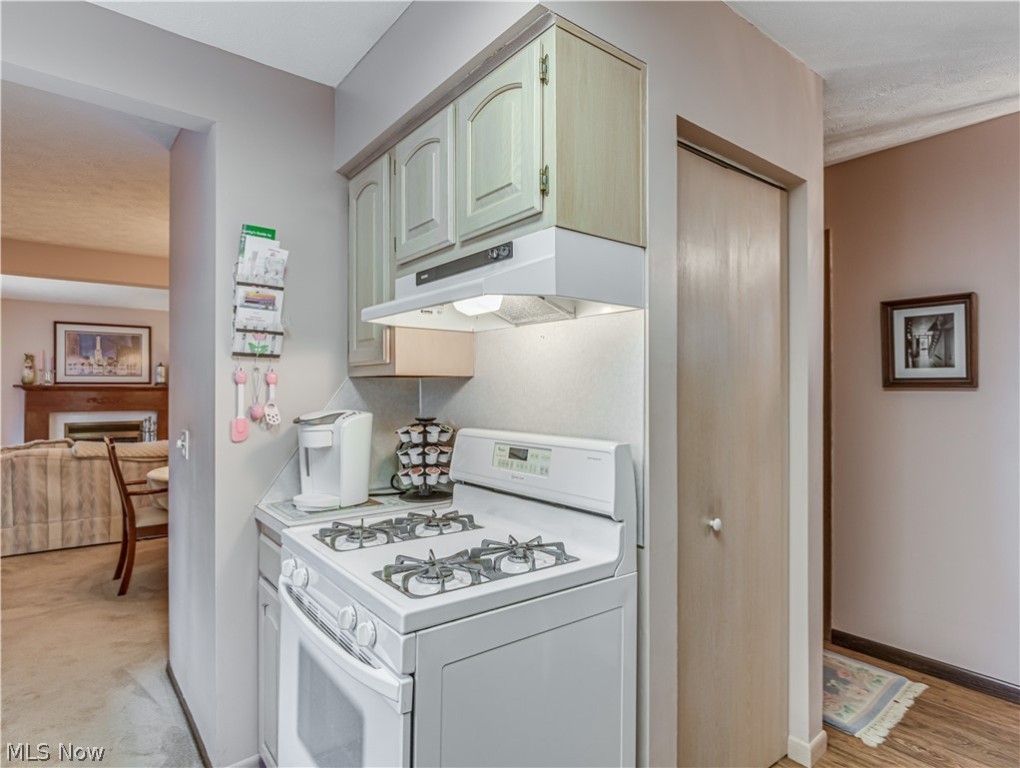 Shoreview Ridge Condo - Residential