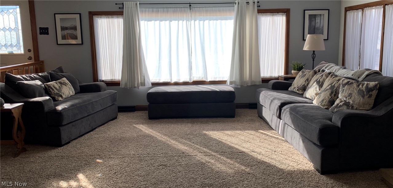 Pasadena Park Allotment - Residential