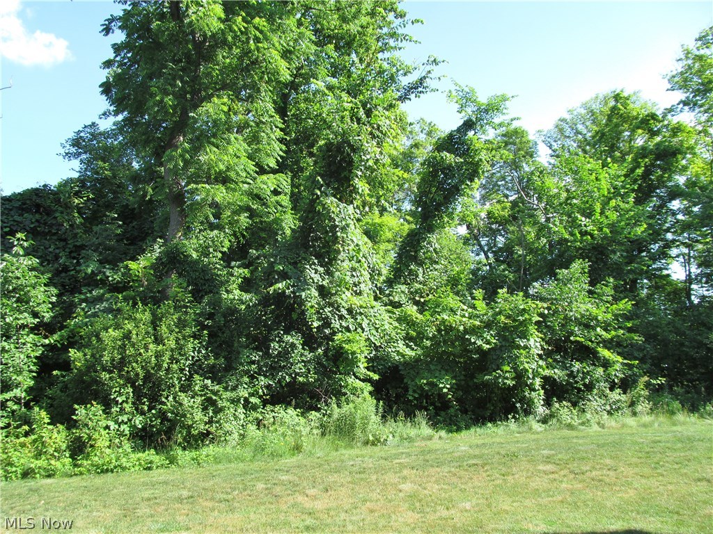 Ridgewood Falls - Residential