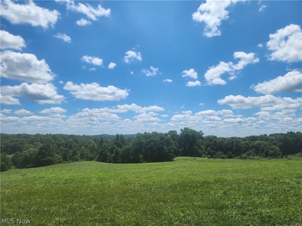 Shaver Road, Blue Rock, Ohio image 9