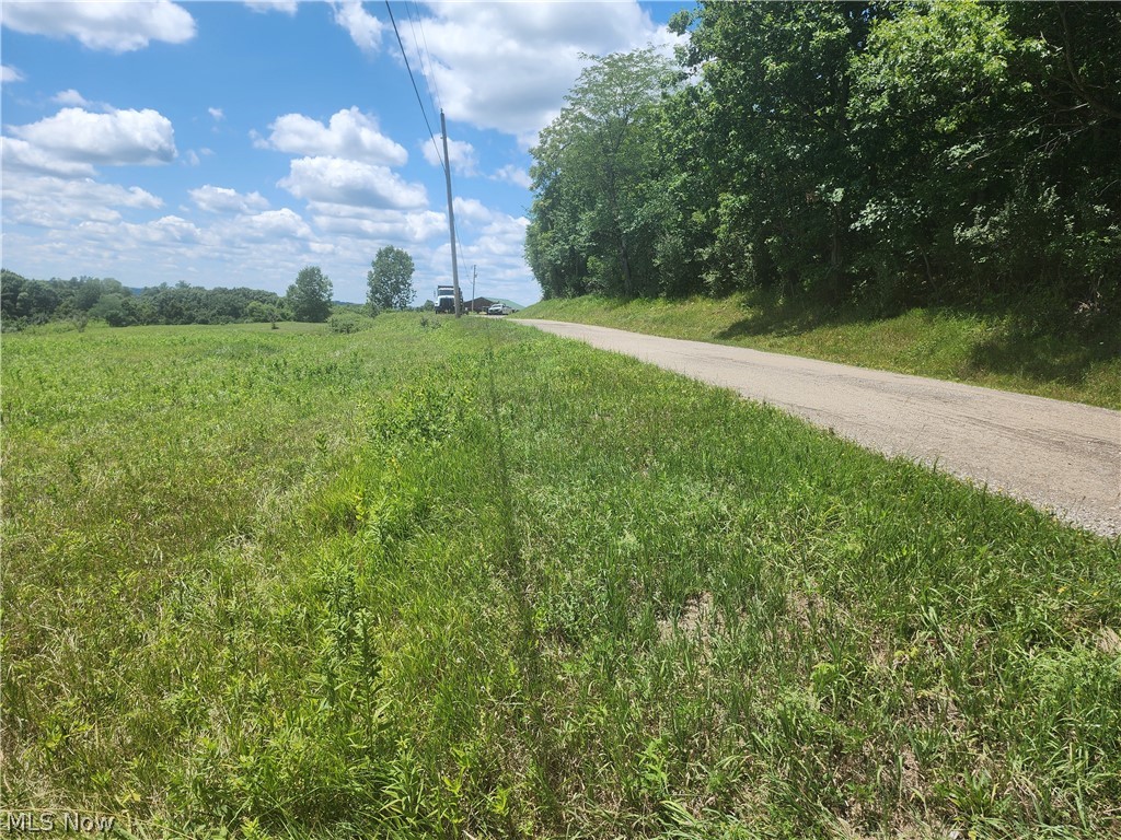 Shaver Road, Blue Rock, Ohio image 3