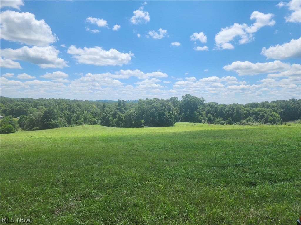 Shaver Road, Blue Rock, Ohio image 1