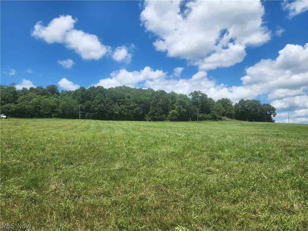 Shaver Road, Blue Rock, Ohio image 6