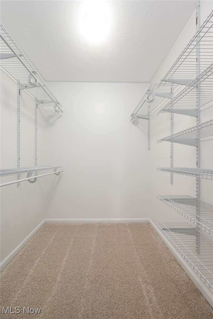 Forest Trail - Residential