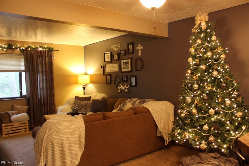 Tuscarawas Park Condo - Residential