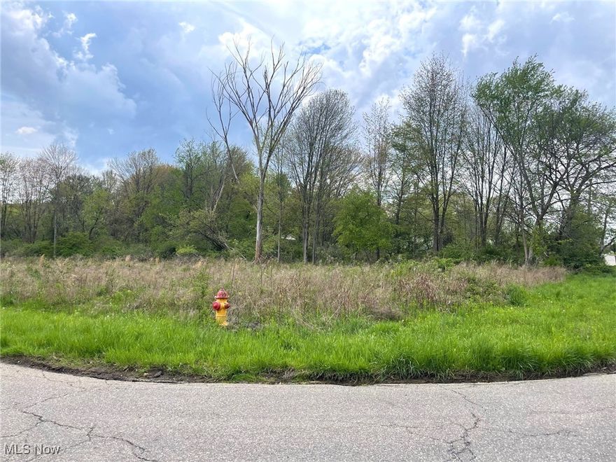 This buildable .31 acre partially  wooded lot is on a dead end street and is located in the Perry Local School District. Lot is level and has 75' of frontage and is 180' deep. Public water and public sewer. Directions: Erie St. to east on Forest Ave. SE. to south on Candell St. SE.