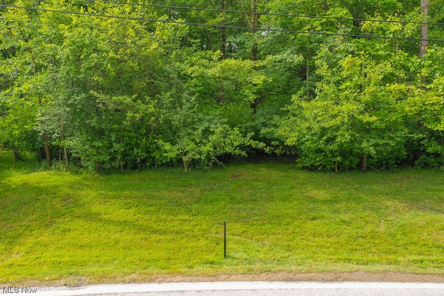 Buildable Lot Available in Solon School District! This lot is neary 1 acre. Build your dream home with no HOA to deal with!  There are homes on each side of this lot. Plenty of room to build home and expand! Drive by and make an offer!