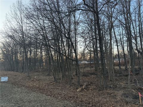 Liberty Avenue Vermilion OH 44089