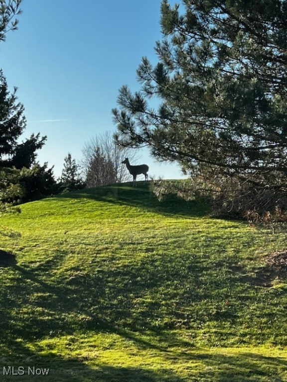 Cedar Glen - Residential