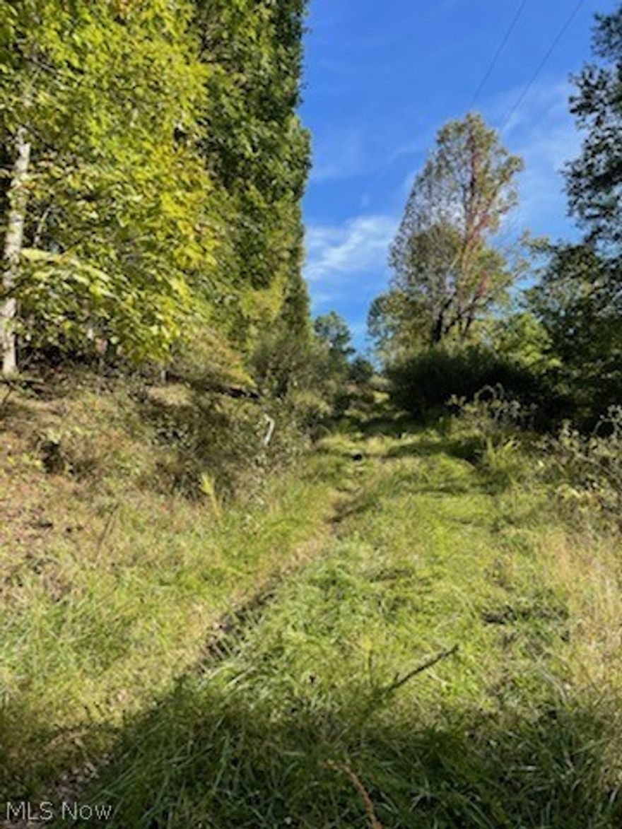 Five m/l acres for home site or cabin. Electric and phone lines on property. Old well and septic was on land
years ago and would need to be "rediscovered".  Very private location that needs clearing. Level area
perfect for building. Wildlife include deer and squirrels. Complete with OGM rights and possible free gas as per 
owner. Four wheel drive access until a driveway to be put in.  Call today, listed at $35,000.