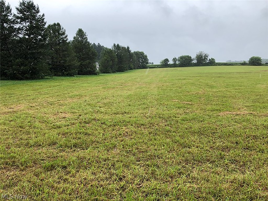 Located in the Village of Hanoverton (Clinton St.). Nice building lot of level open hay field. Just on the north side of town. Mineral Rights owned by seller transfer.