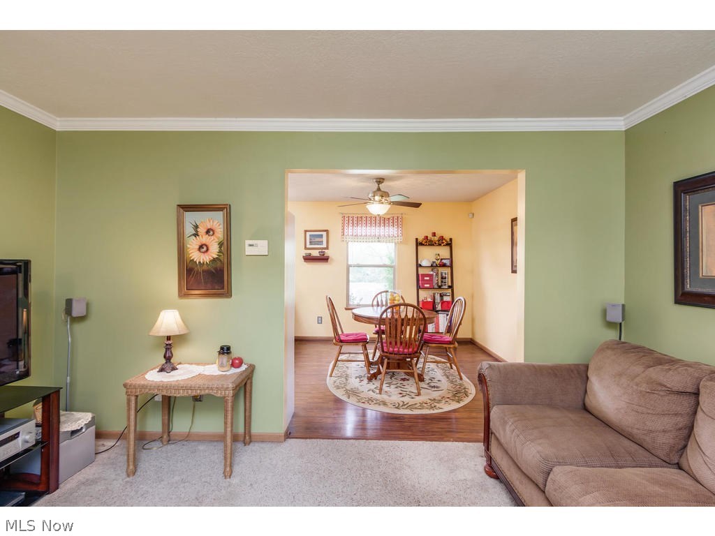 Briner Allotment - Residential