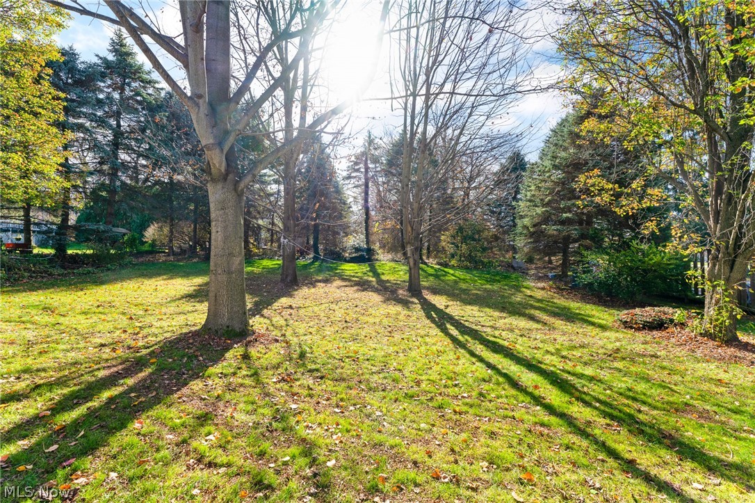 Cortland Homes 02 - Residential