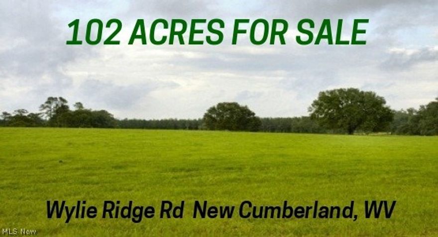 102 ACRES WITH MINERAL RIGHTS! Beautiful open field surrounded by woodland. Great building site for a mini estate or farm off of Wylie Ridge Rd.