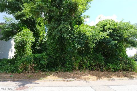 Vacant Land For Sale - 128 Butte Street<br/> Jefferson County, Steubenville, OH 43952