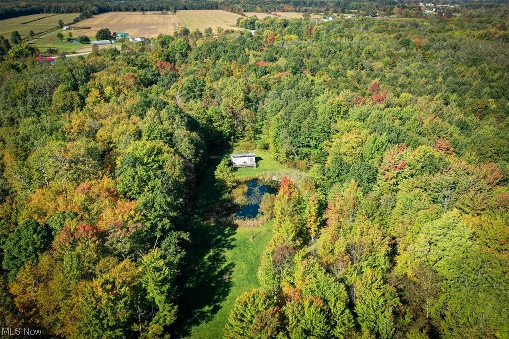 Dorset - Residential