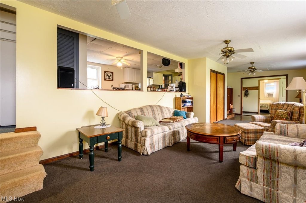 Dorset - Residential