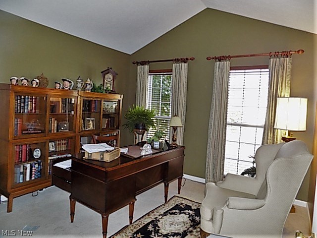 The Woods of Glencairn - Residential