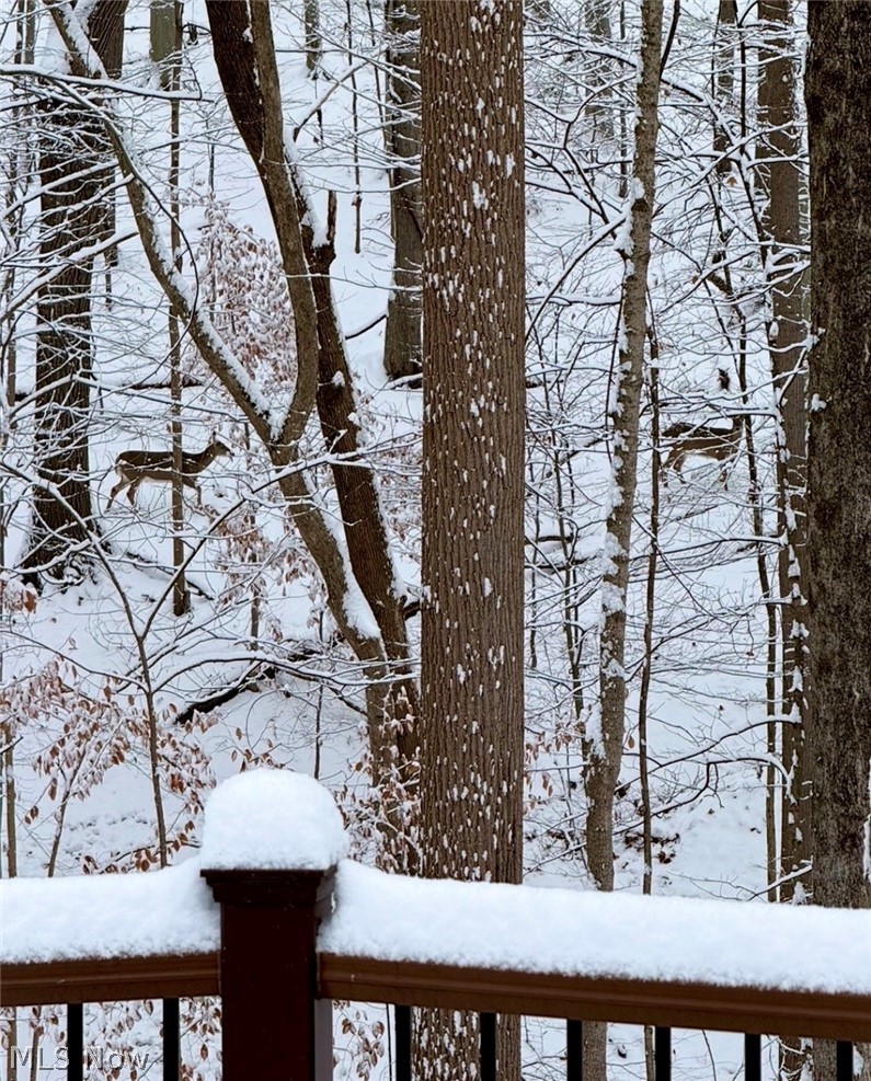 Woodlands 4 - Residential