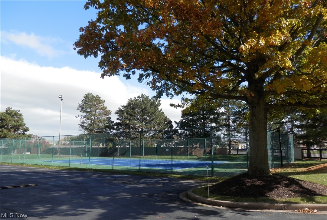 Shores Condo - Residential