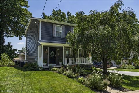 Homes For Sale - 145 Tudor Avenue<br/> Akron, OH 44312