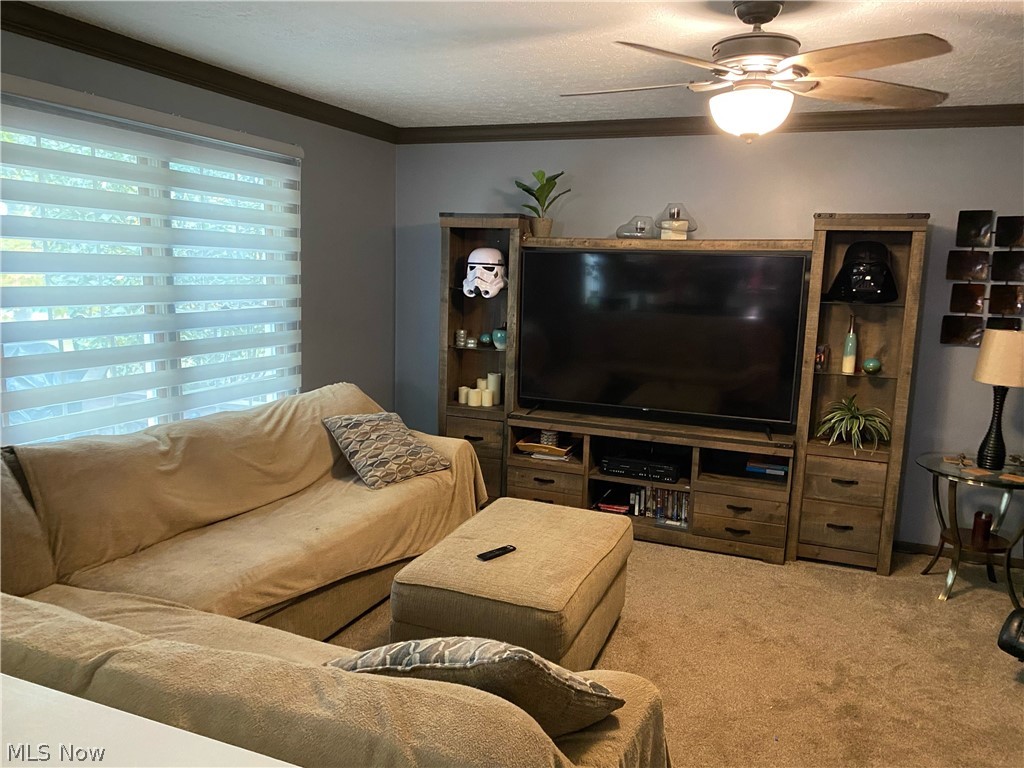 Ashton Woods Estate - Residential