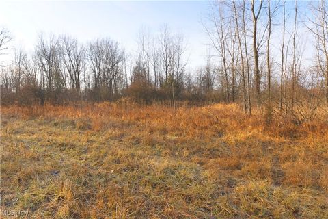 Tiny photo for 1100 Lantz Avenue, Mansfield, OH 44906 (MLS # 5179012)