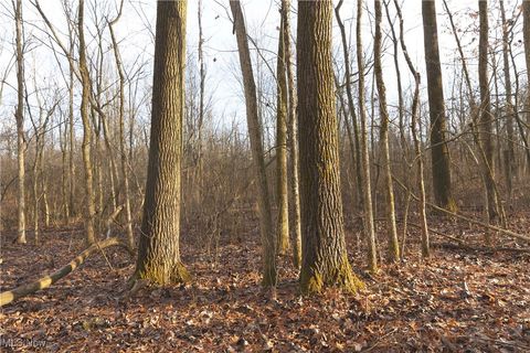 Tiny photo for 1100 Lantz Avenue, Mansfield, OH 44906 (MLS # 5179012)