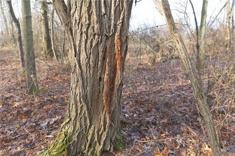 Tiny photo for 1100 Lantz Avenue, Mansfield, OH 44906 (MLS # 5179012)