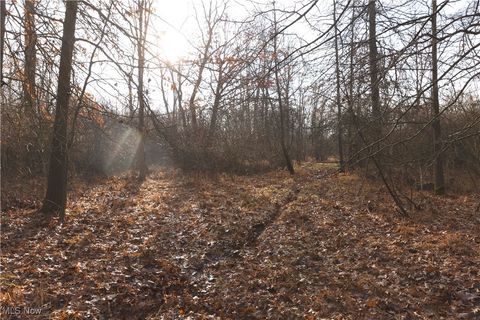 Tiny photo for 1100 Lantz Avenue, Mansfield, OH 44906 (MLS # 5179012)