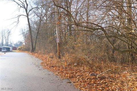 Tiny photo for 1100 Lantz Avenue, Mansfield, OH 44906 (MLS # 5179012)