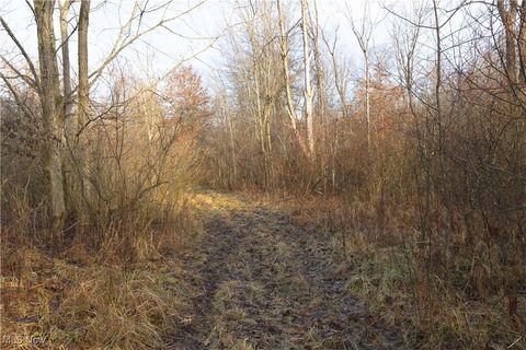 Tiny photo for 1100 Lantz Avenue, Mansfield, OH 44906 (MLS # 5179012)