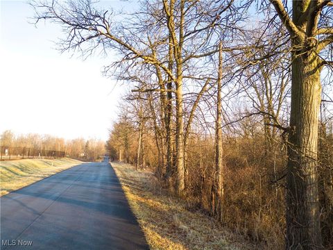 Tiny photo for 1100 Lantz Avenue, Mansfield, OH 44906 (MLS # 5179012)