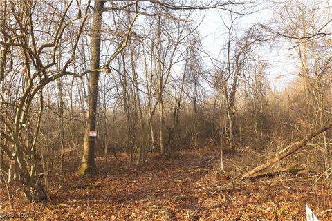 Tiny photo for 1100 Lantz Avenue, Mansfield, OH 44906 (MLS # 5179012)