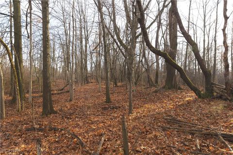 Tiny photo for 1100 Lantz Avenue, Mansfield, OH 44906 (MLS # 5179012)