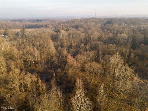 Tiny photo for 1100 Lantz Avenue, Mansfield, OH 44906 (MLS # 5179012)