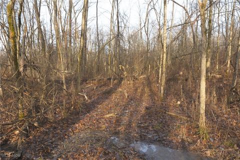 Tiny photo for 1100 Lantz Avenue, Mansfield, OH 44906 (MLS # 5179012)