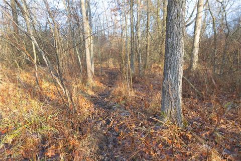 Tiny photo for 1100 Lantz Avenue, Mansfield, OH 44906 (MLS # 5179012)