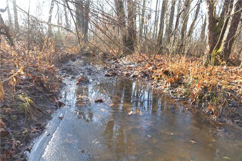 Tiny photo for 1100 Lantz Avenue, Mansfield, OH 44906 (MLS # 5179012)