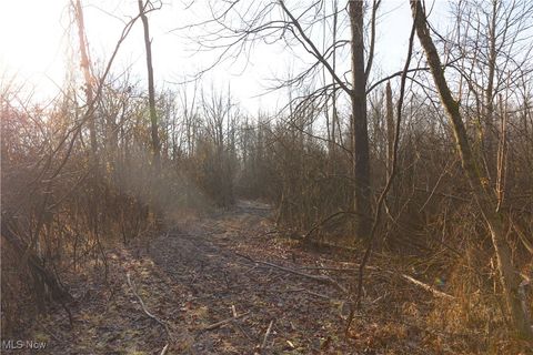 Tiny photo for 1100 Lantz Avenue, Mansfield, OH 44906 (MLS # 5179012)